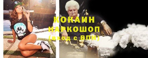 тгк Бородино