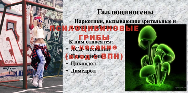 тгк Бородино