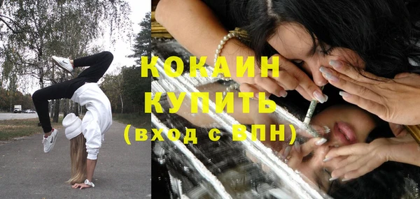 мдпв Бронницы
