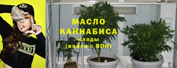 тгк Бородино