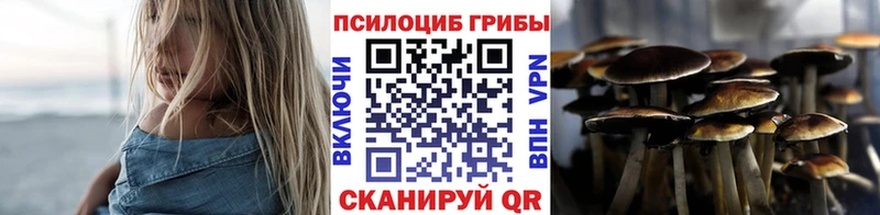 Галлюциногенные грибы мицелий  Купить закладки  Новоалтайск 